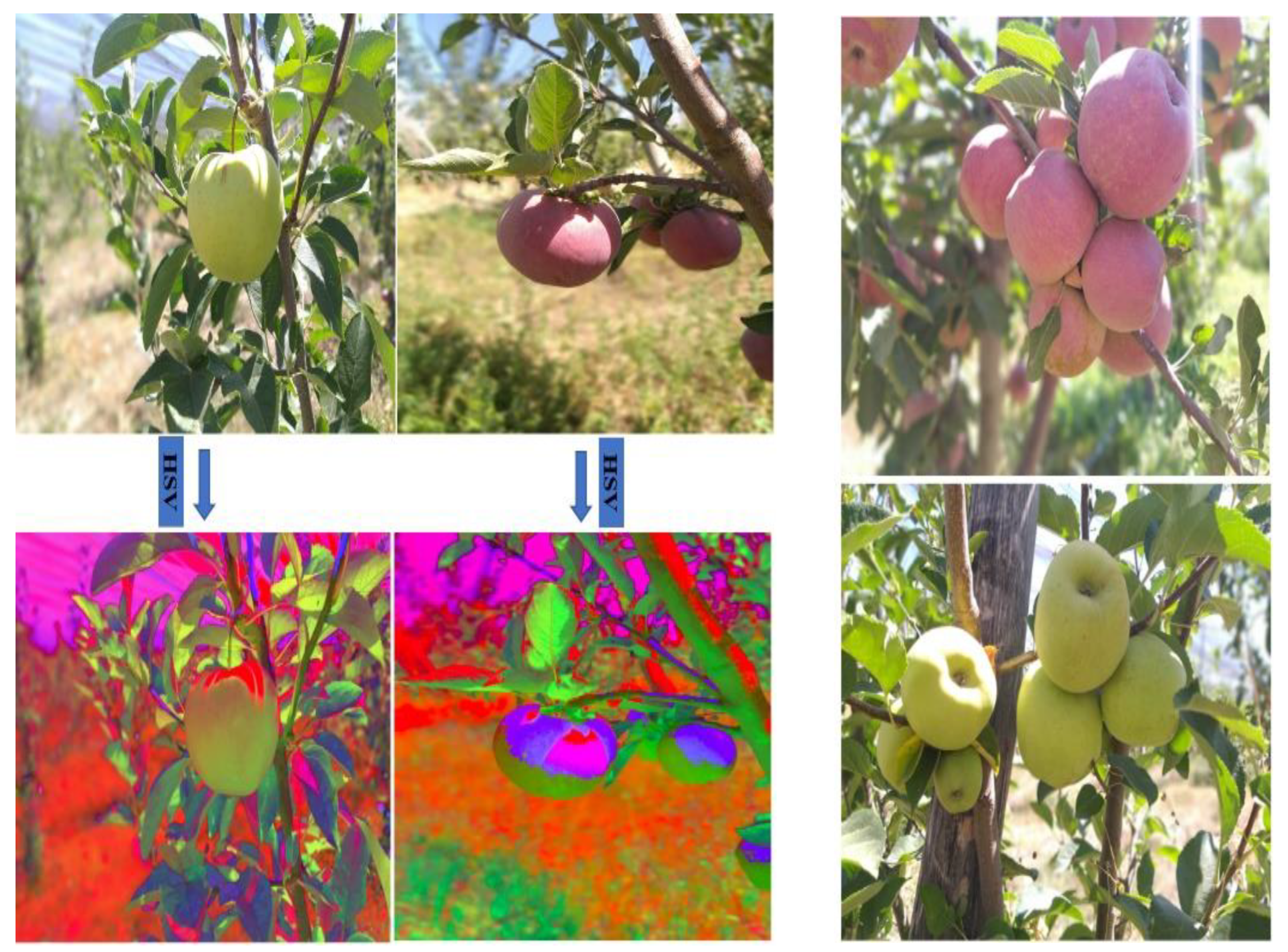 Sustainability 15 02707 g004 Sustainability 15 02707 g004