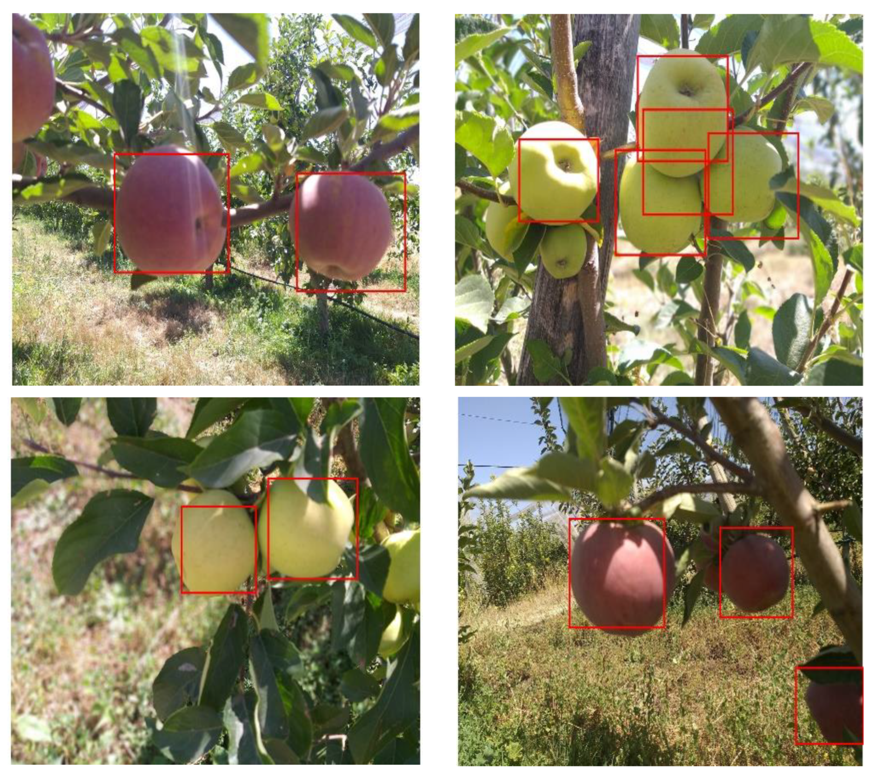 Sustainability 15 02707 g005b Sustainability 15 02707 g005b