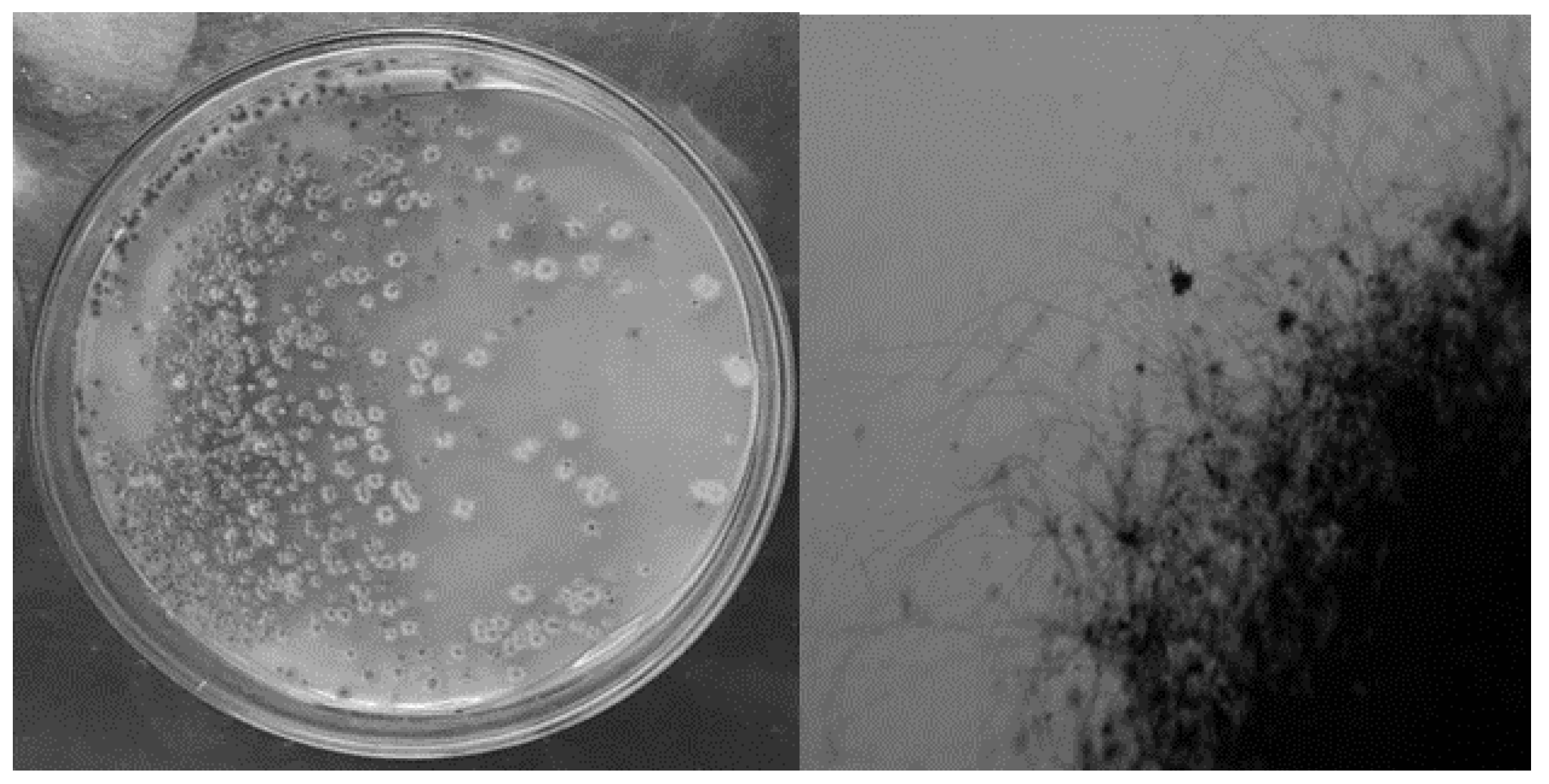 Sustainability 15 02709 g001 Sustainability 15 02709 g001