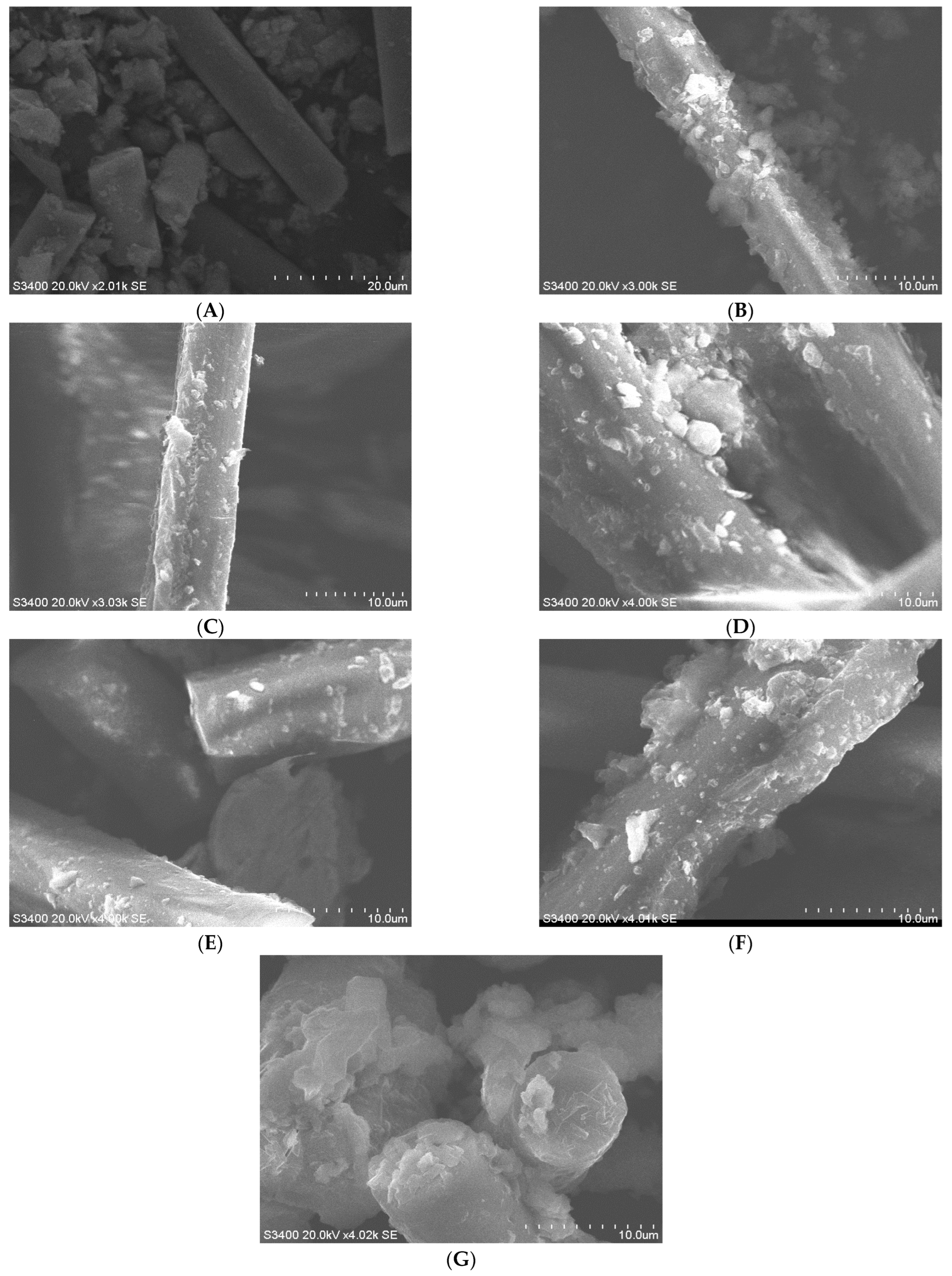 Sustainability 15 02709 g006 Sustainability 15 02709 g006