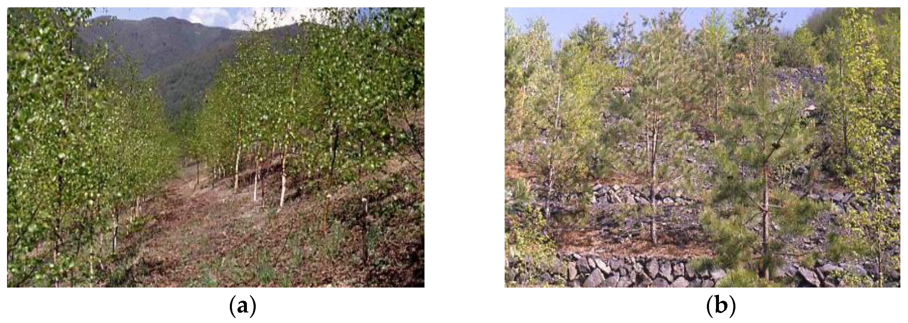 Sustainability 15 02761 g002 Sustainability 15 02761 g002