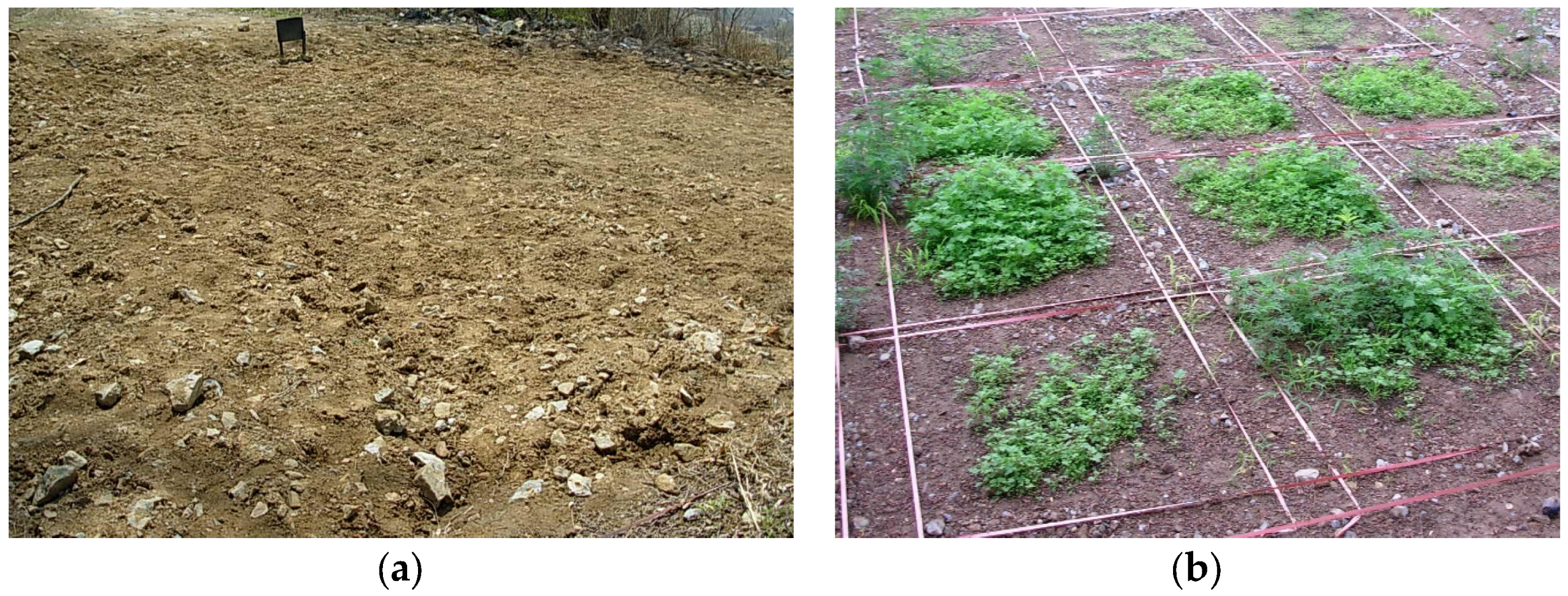 Sustainability 15 02761 g003 Sustainability 15 02761 g003