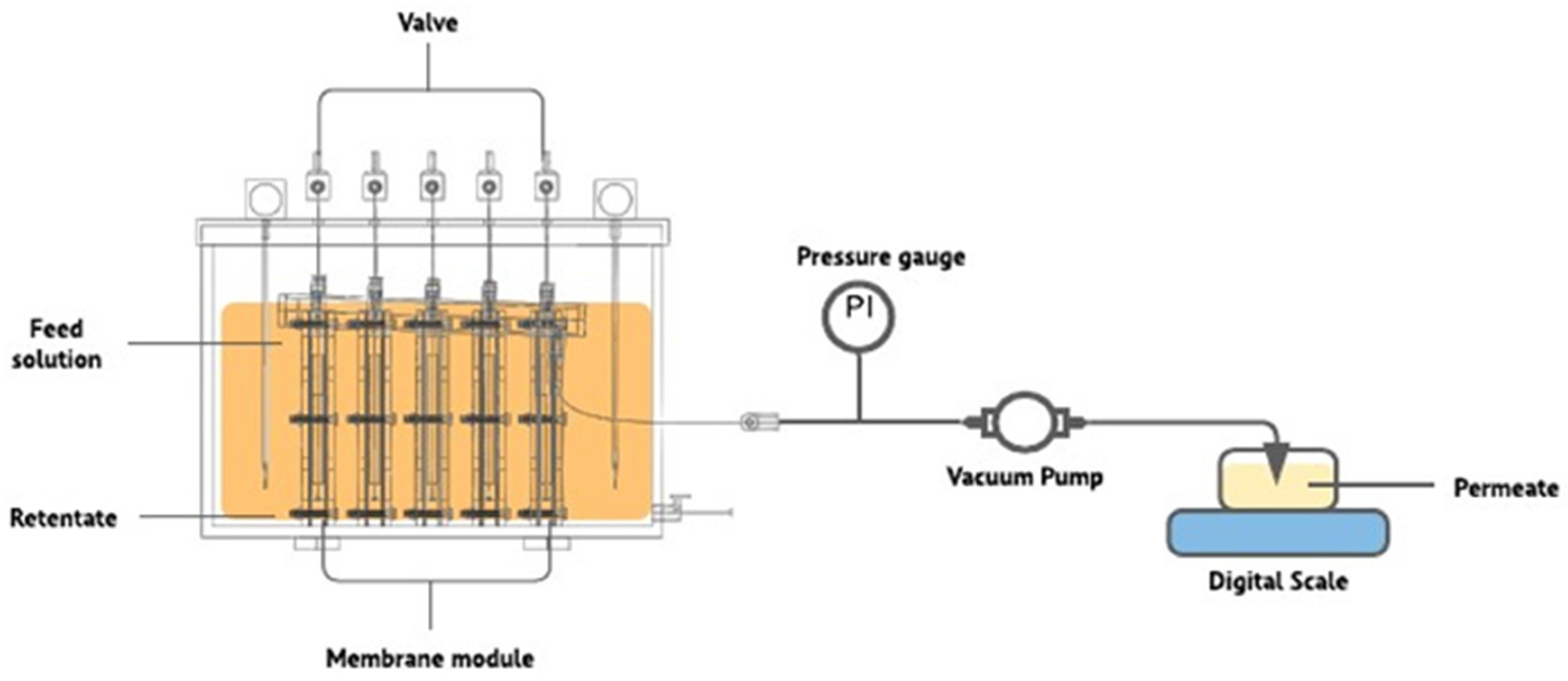 Sustainability 15 02769 g007 Sustainability 15 02769 g007