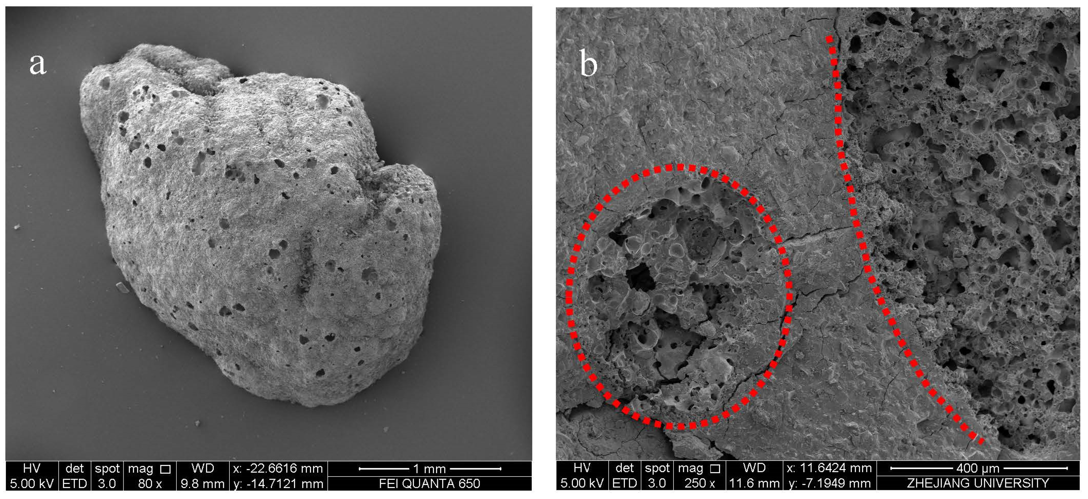 Sustainability 15 02771 g014a 550