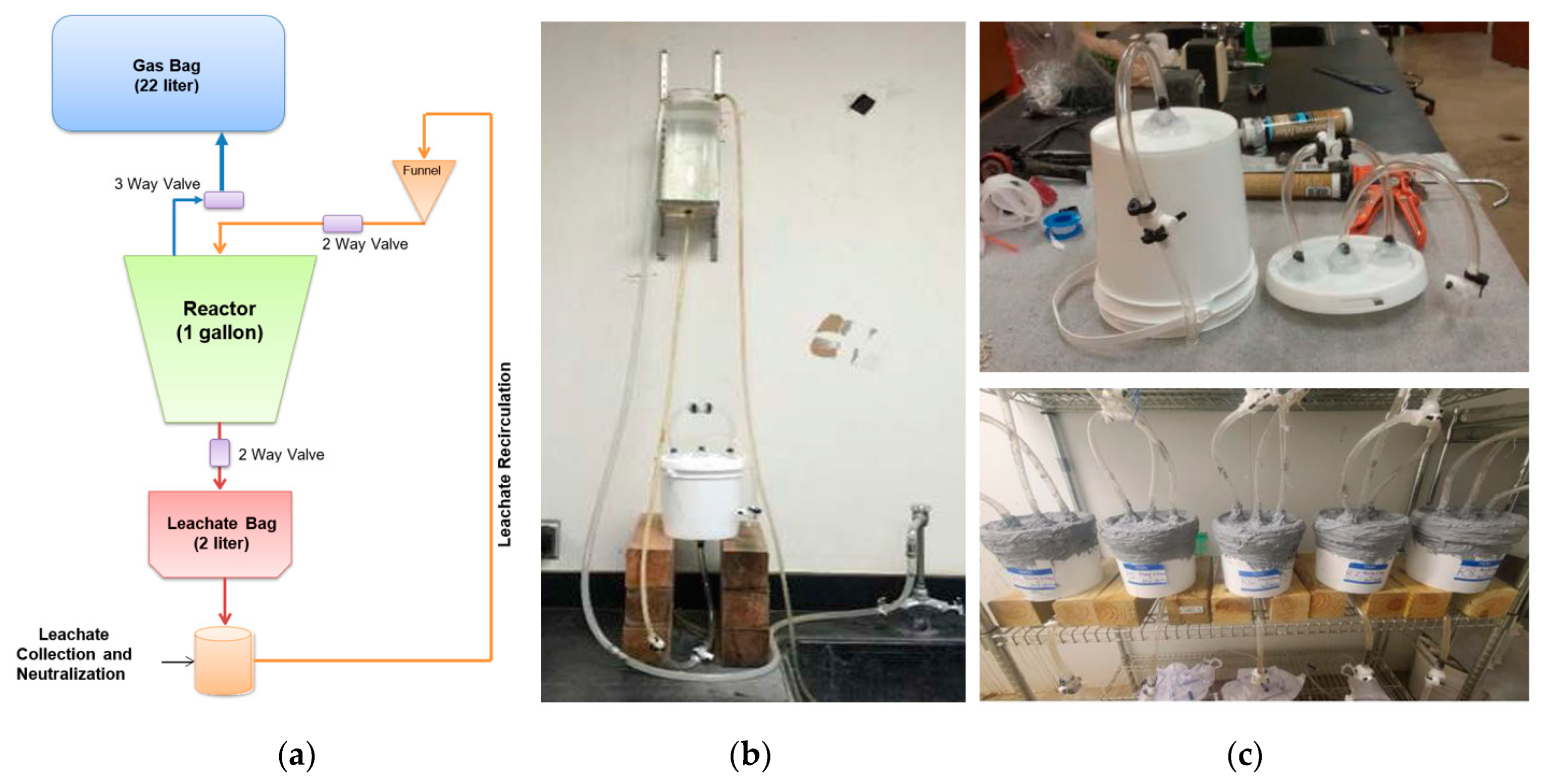Sustainability 15 02782 g001 550