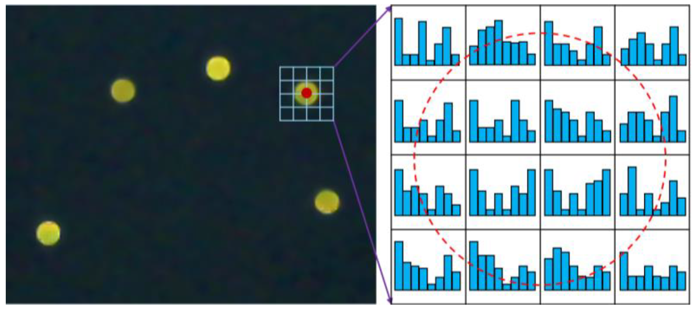 Sustainability 15 02816 g010