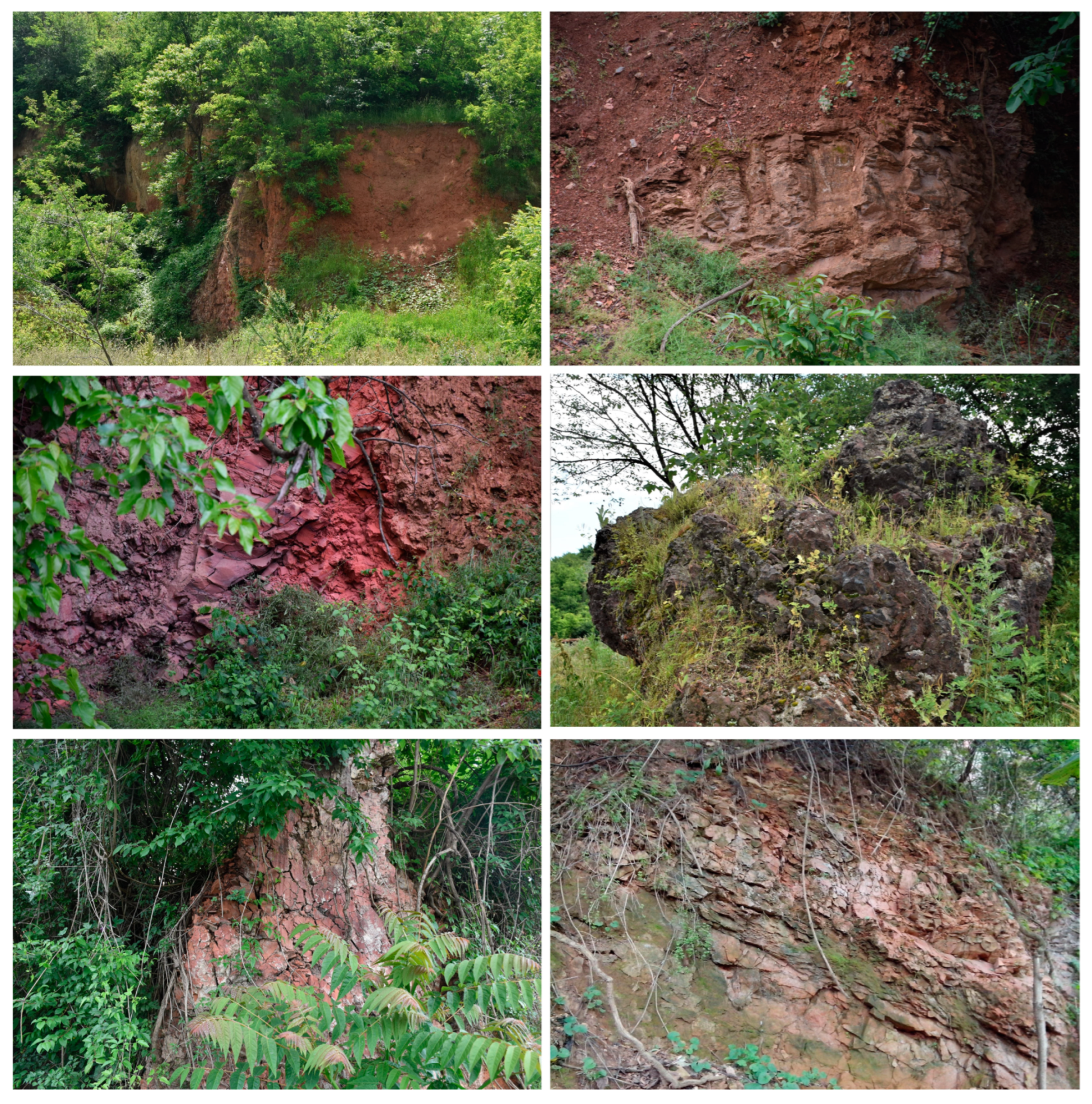 Sustainability 15 02824 g005