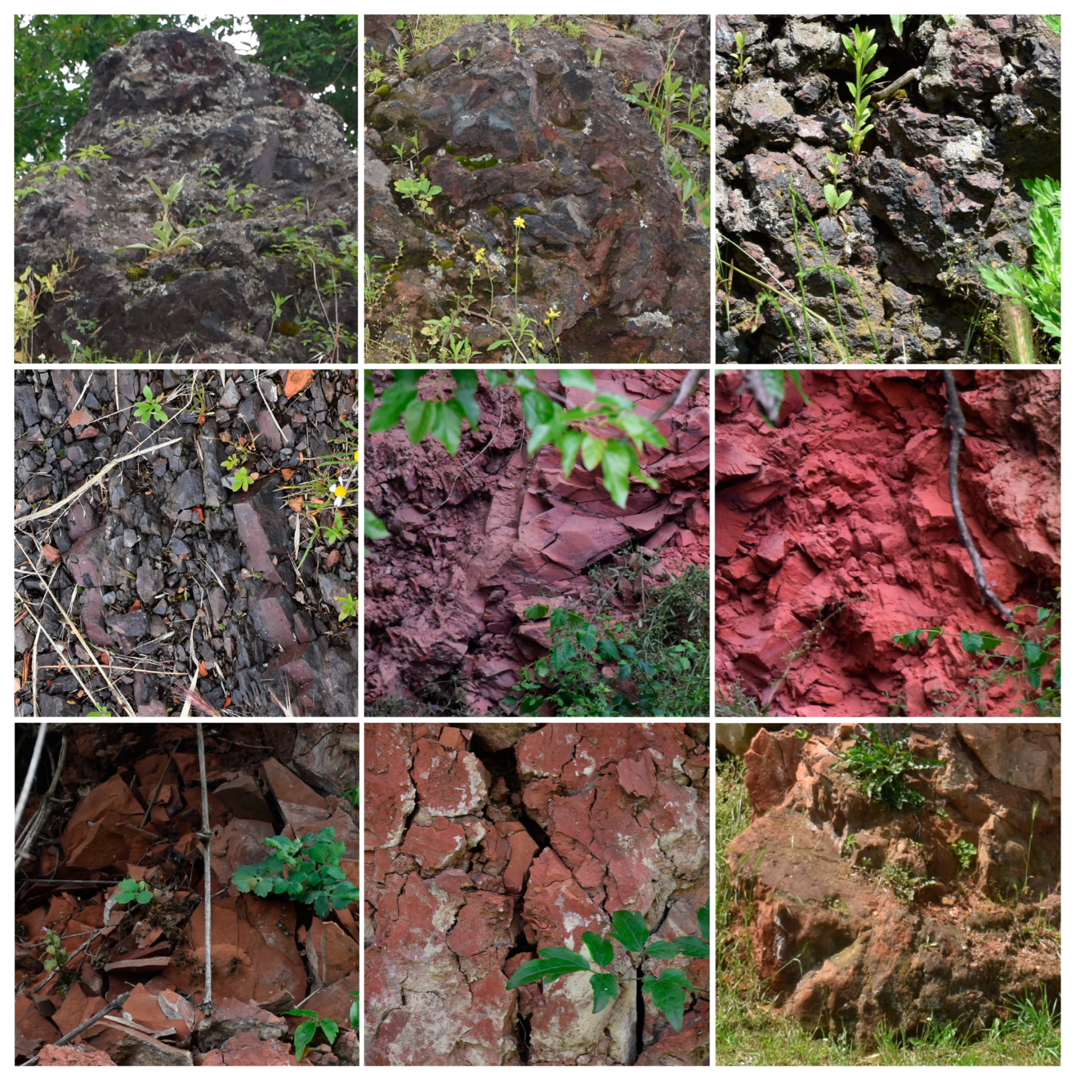 Sustainability 15 02824 g006