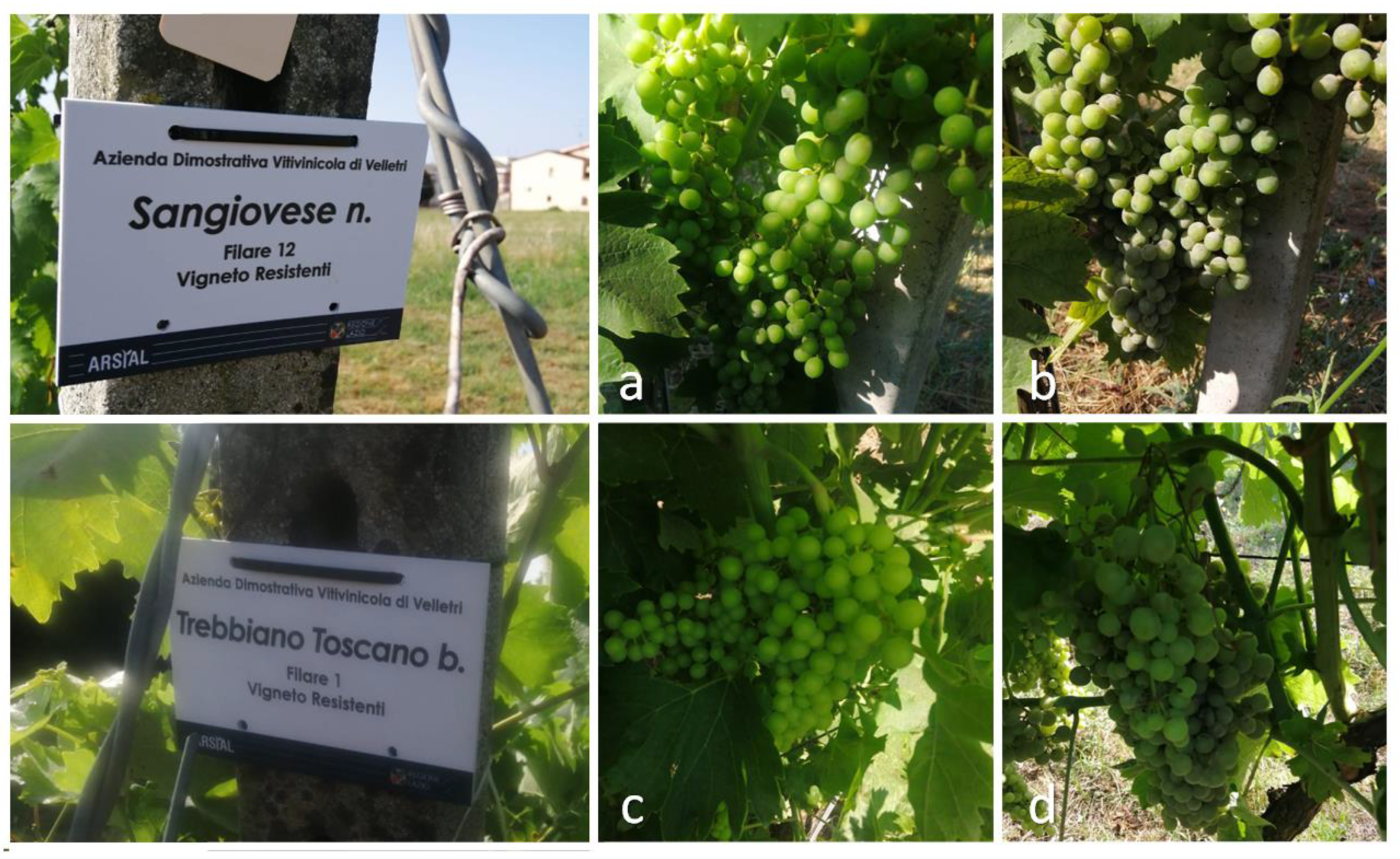 Sustainability 15 02837 g001 Sustainability 15 02837 g001