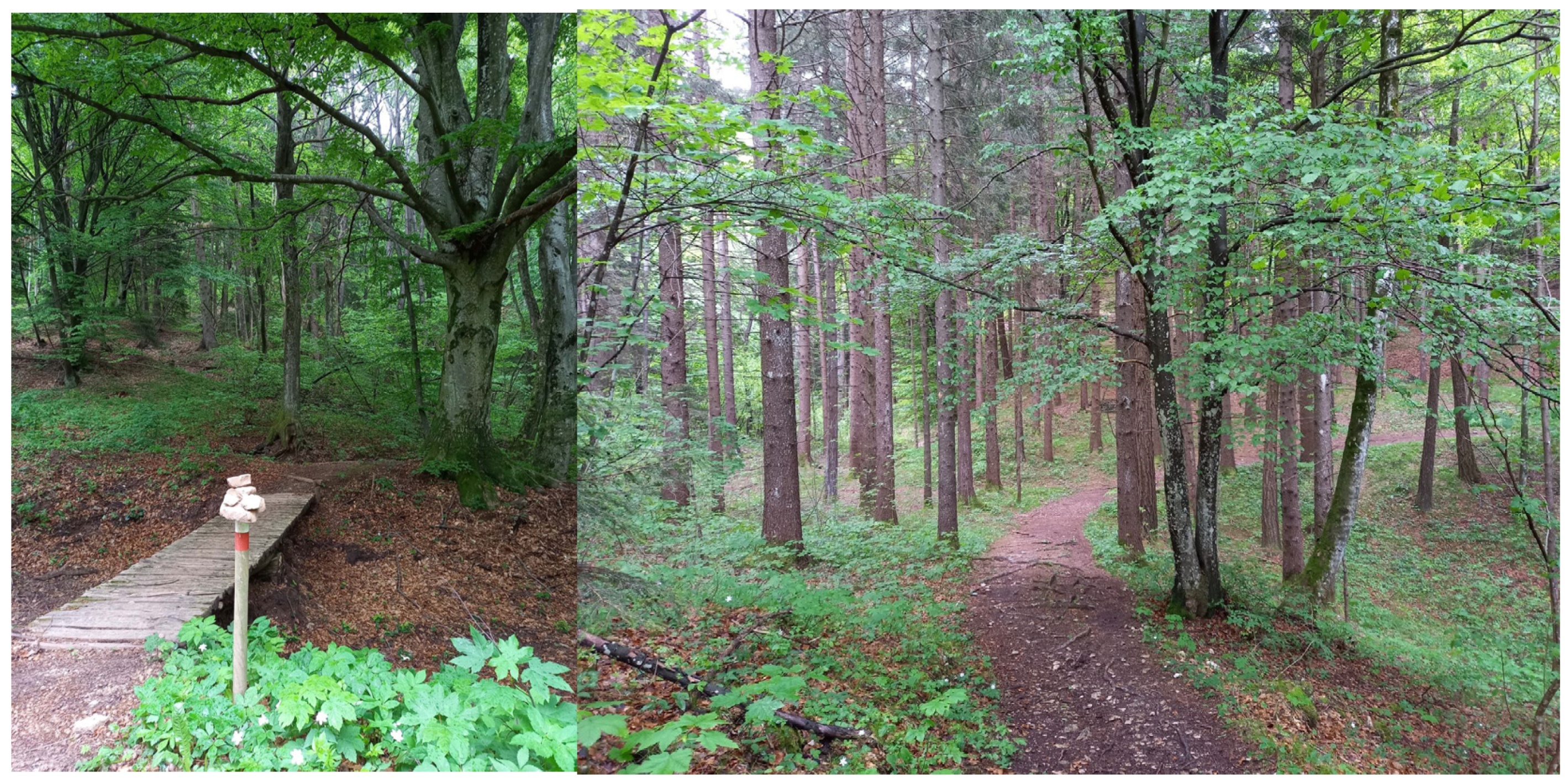 Sustainability 15 02852 g002