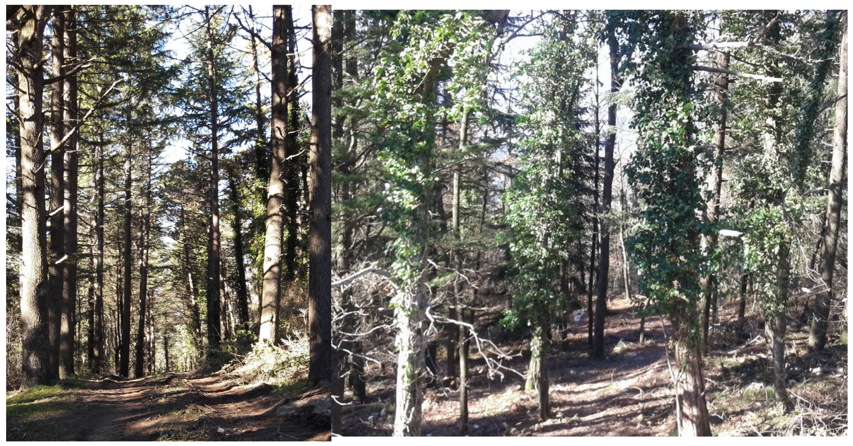 Sustainability 15 02852 g003