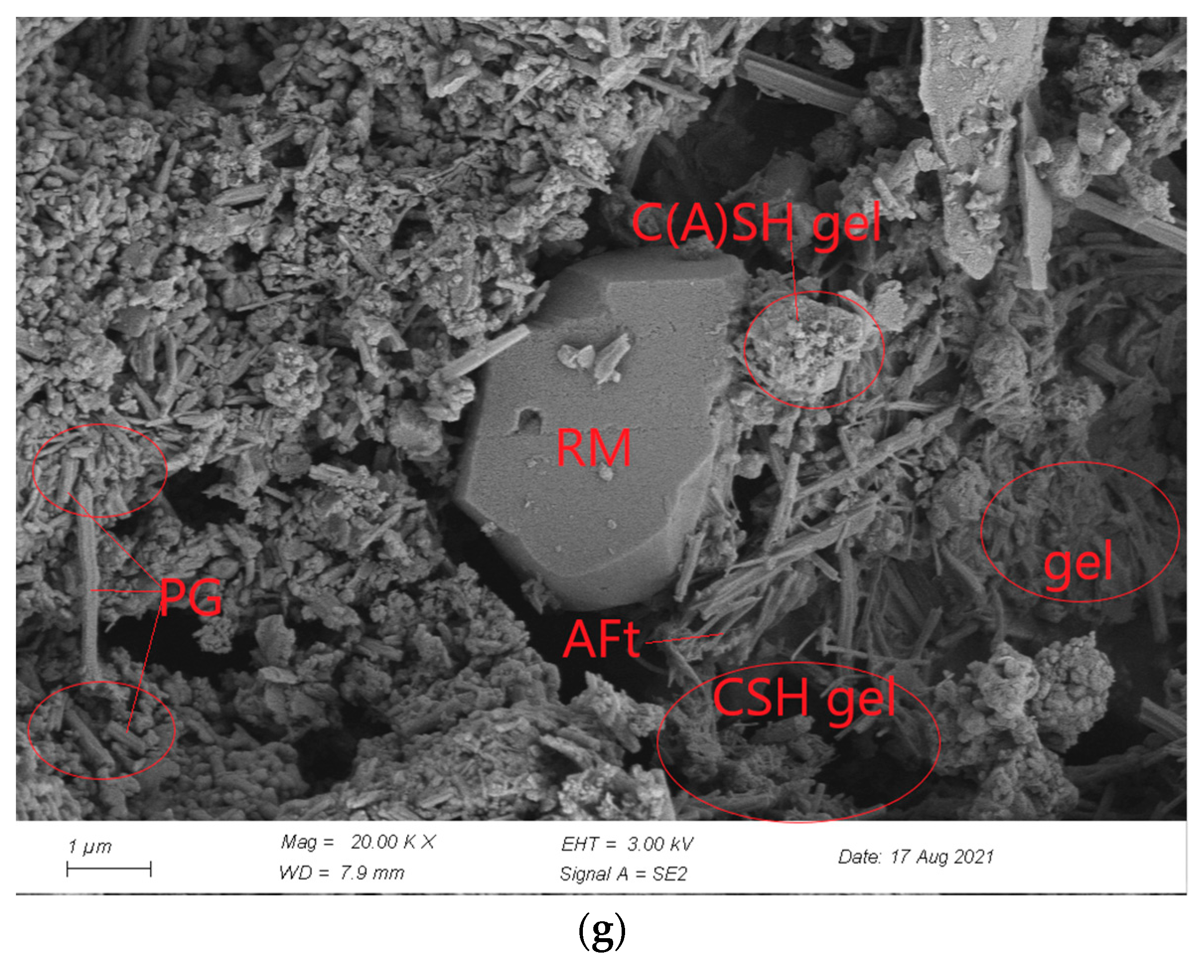 Sustainability 15 02856 g009b