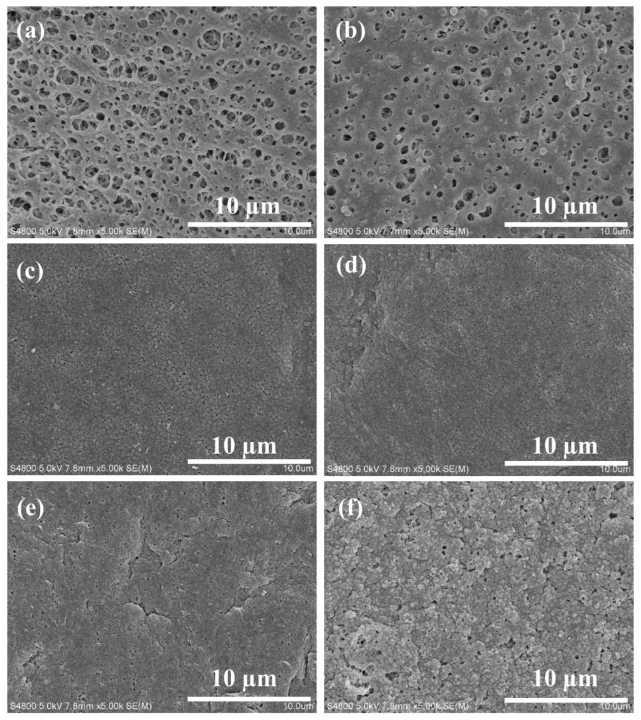 Sustainability 15 02879 g002 Sustainability 15 02879 g002
