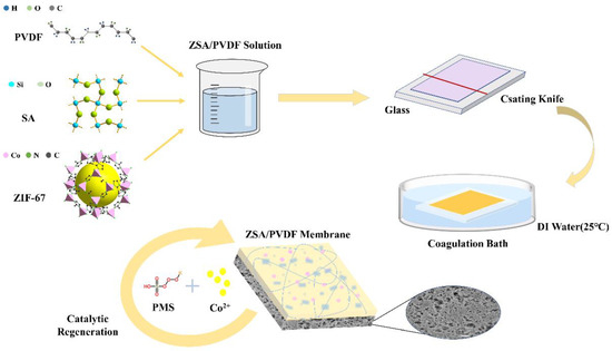 その他 nn ZIF-67/SA@PVDF Ultrafiltration Membrane with Simultaneous