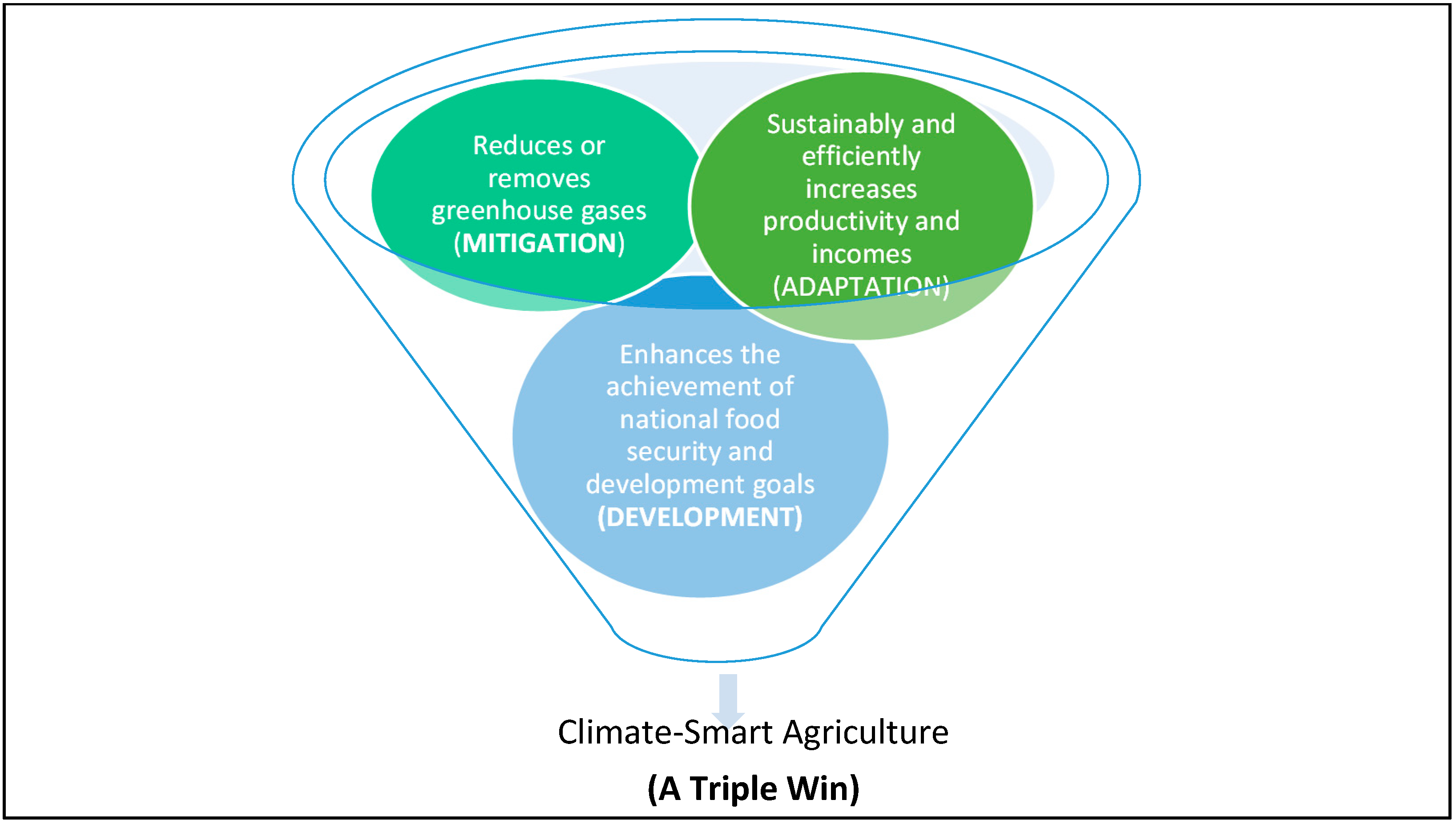 Challenges in Adopting Smart Farming in Developing Countries