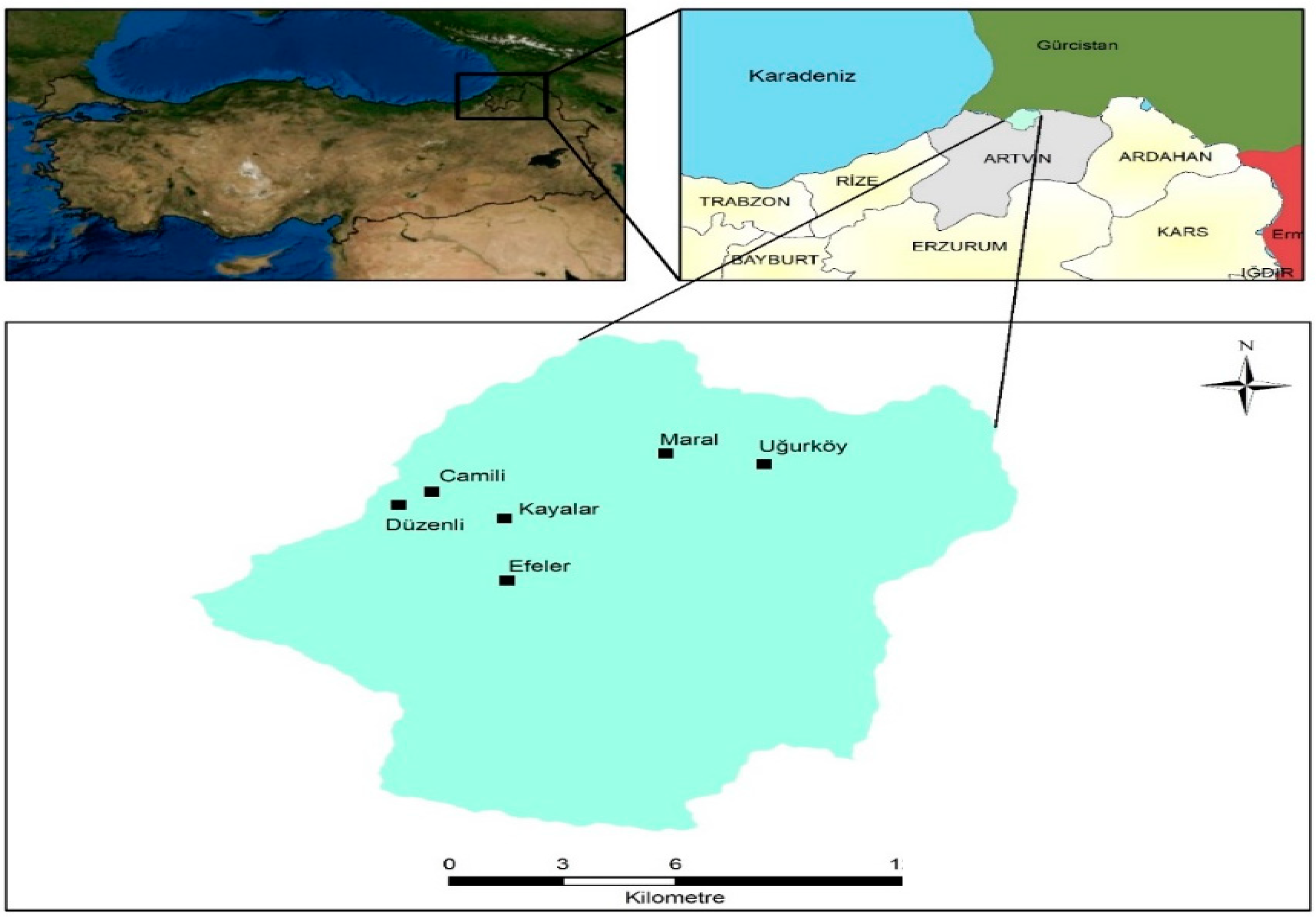 Sustainability 15 02933 g001