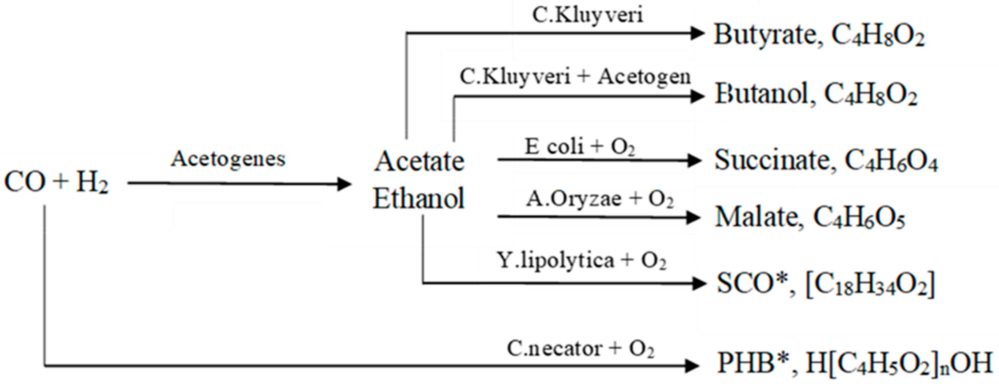 Sustainability 15 02937 g010