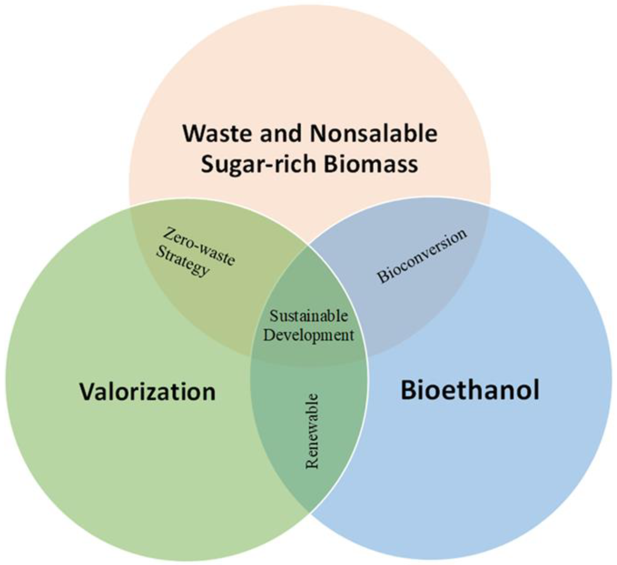 Sustainability 15 02937 g013