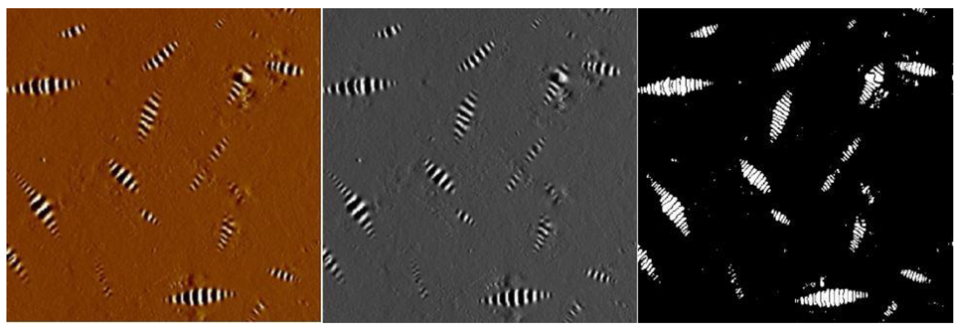 Sustainability 15 02953 g012 Sustainability 15 02953 g012