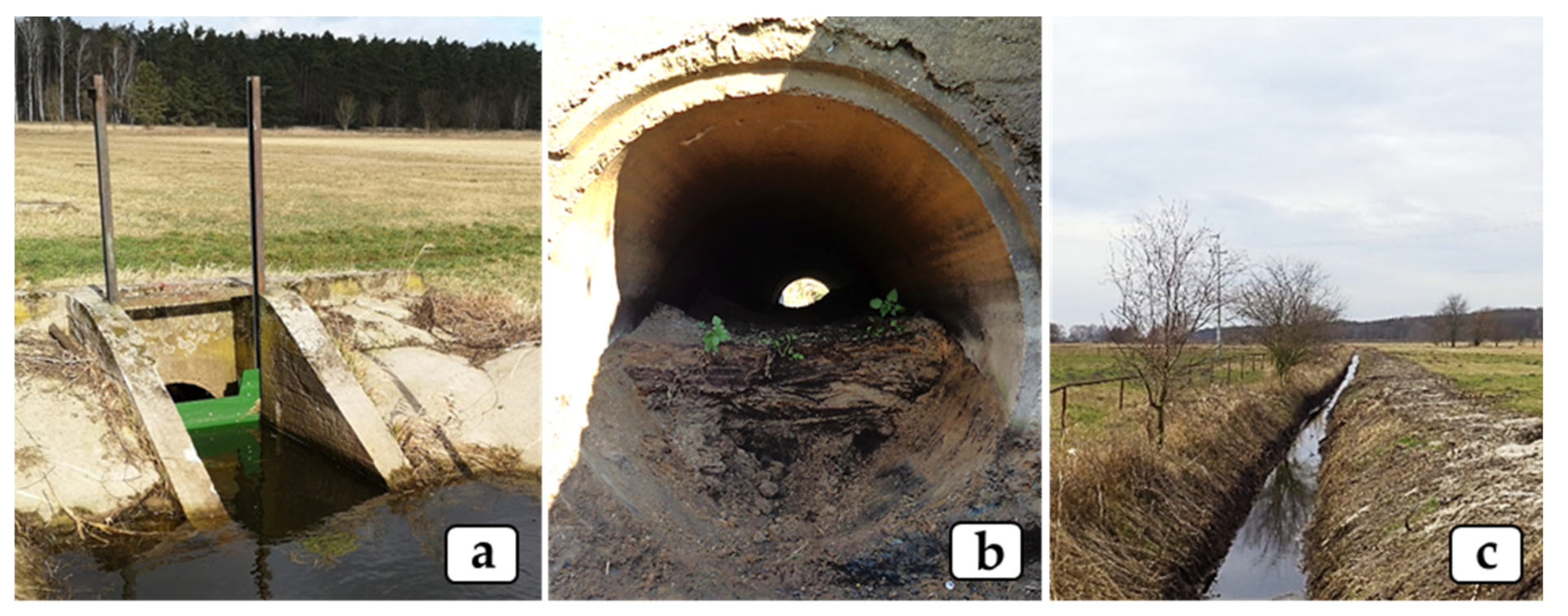 Sustainability 15 02959 g002