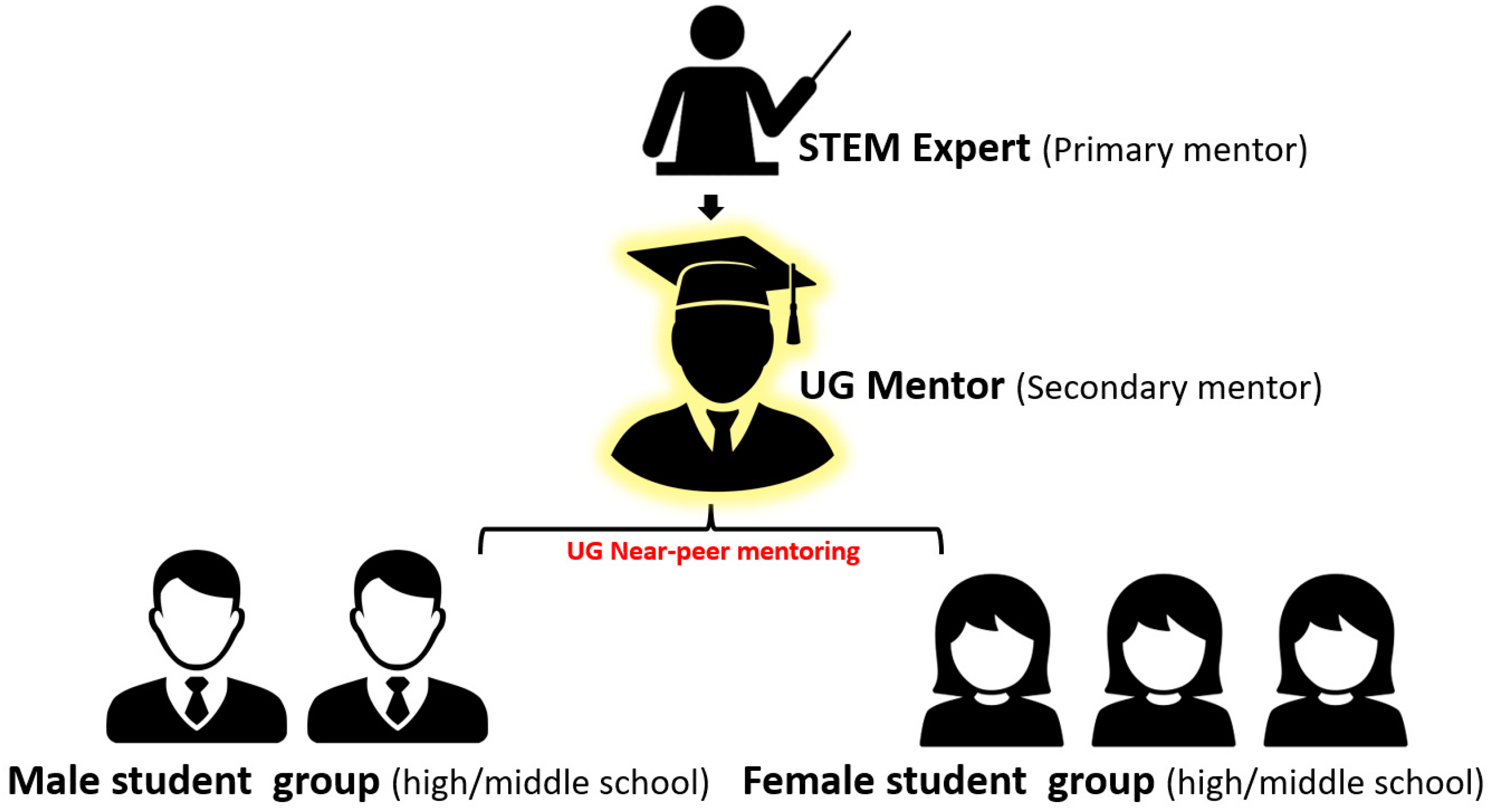 The Prominent Roles of Undergraduate Mentors in an Online Near Peer The Prominent Roles of Undergraduate Mentors in an Online Near Peer