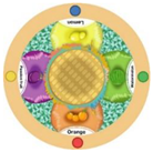 Sustainability 15 03036 i076