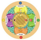 Sustainability 15 03036 i078