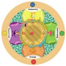 Sustainability 15 03036 i080