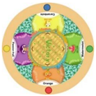 Sustainability 15 03036 i081