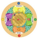 Sustainability 15 03036 i087