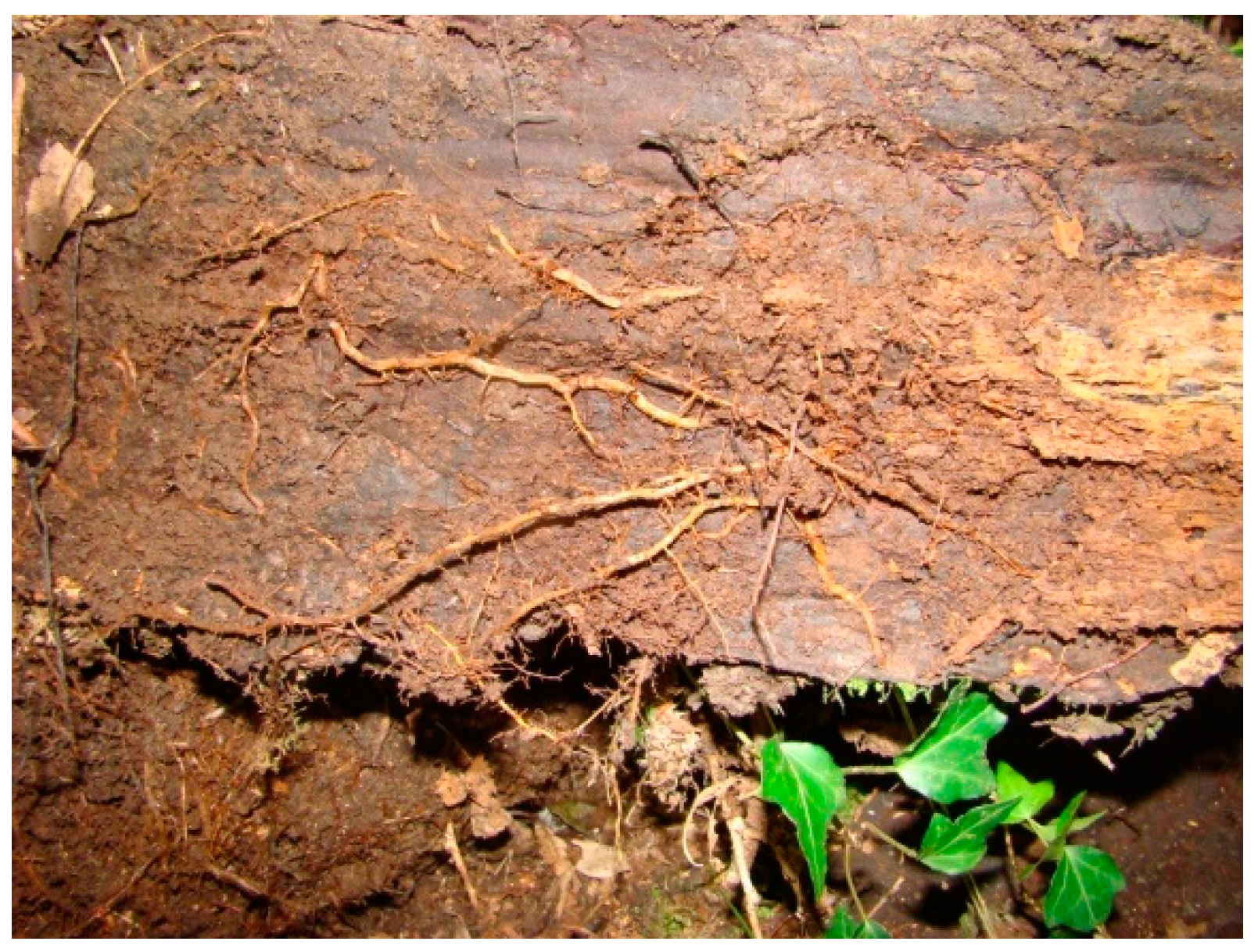 Sustainability 15 03044 g003