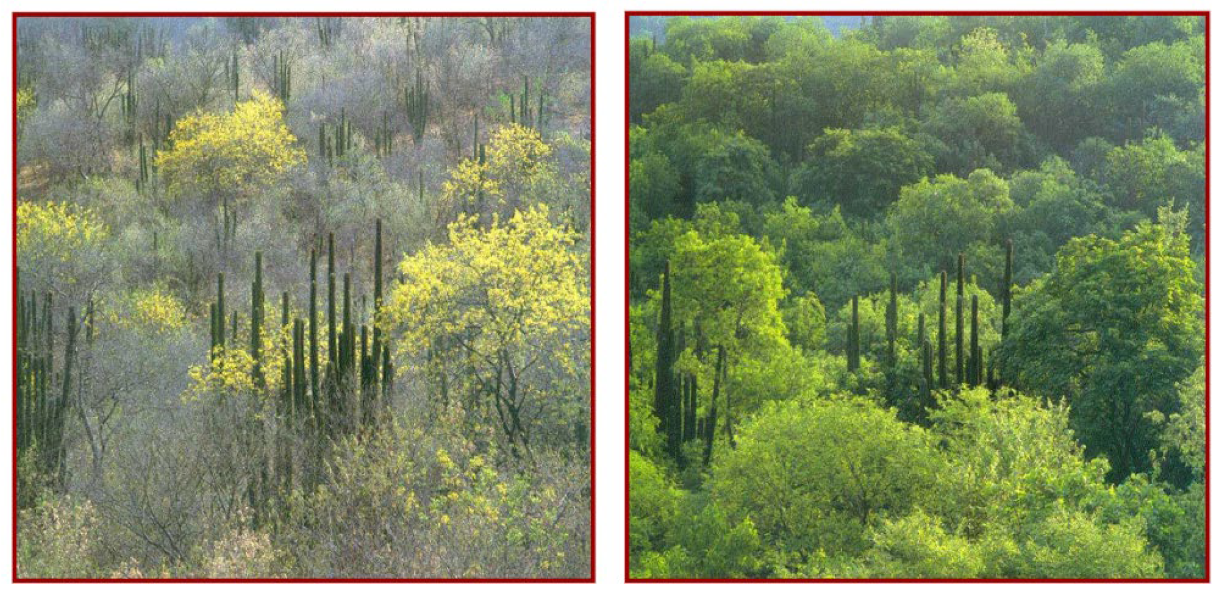 Sustainability 15 03052 g001