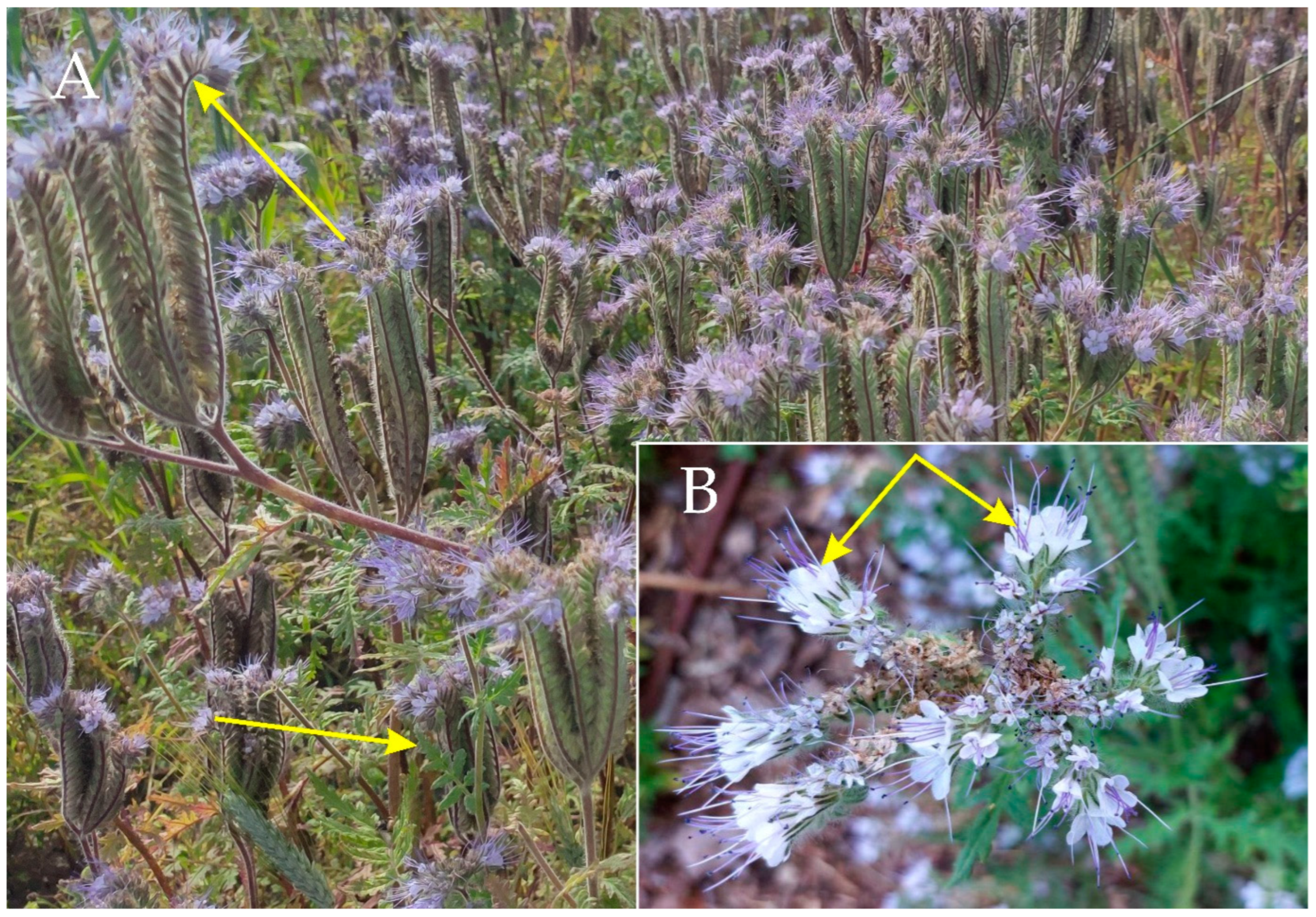 Sustainability 15 03061 g001 Sustainability 15 03061 g001