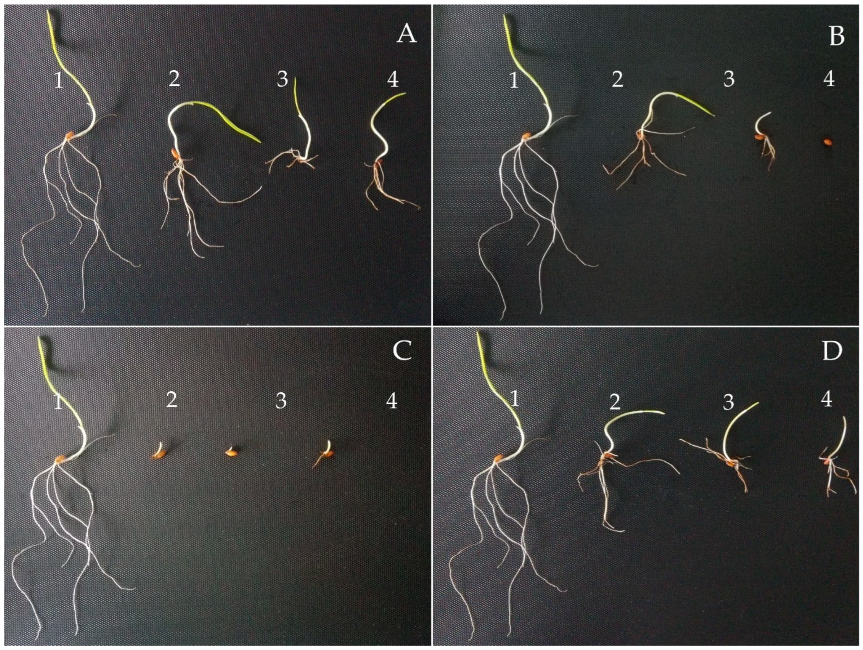 Sustainability 15 03061 g003 Sustainability 15 03061 g003