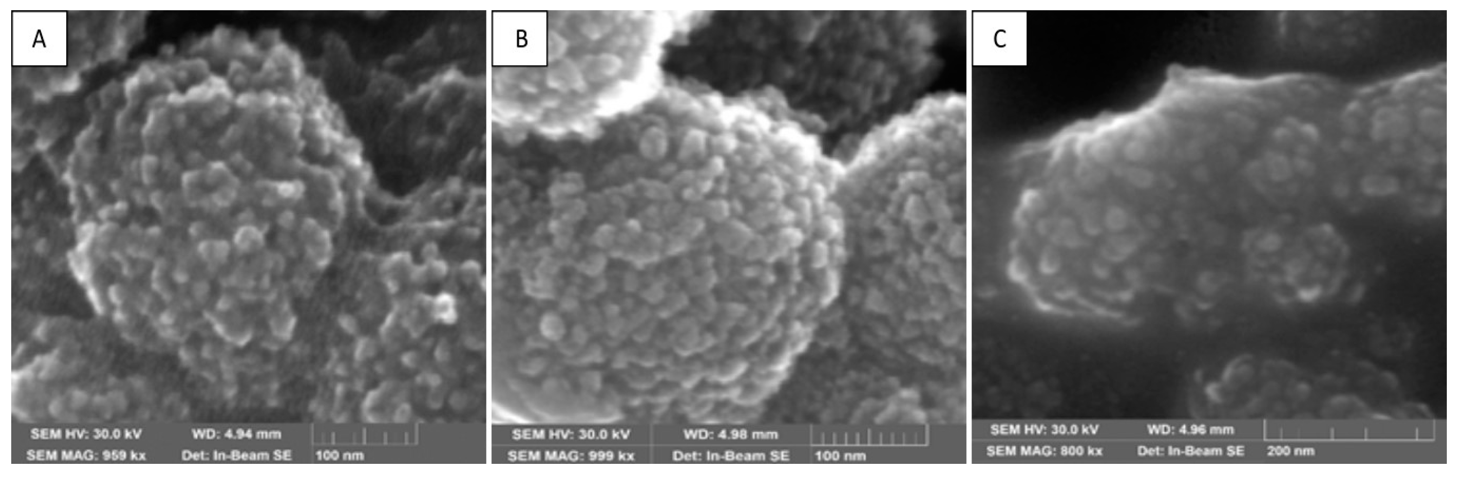 Sustainability 15 03080 g010