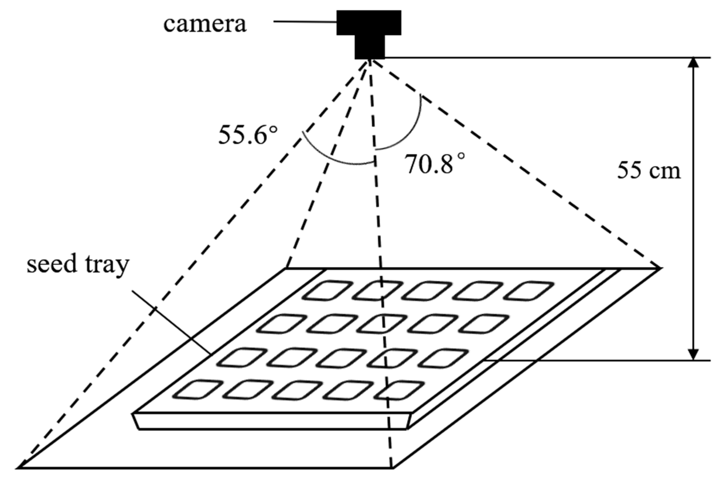 Sustainability 15 03089 g001 550