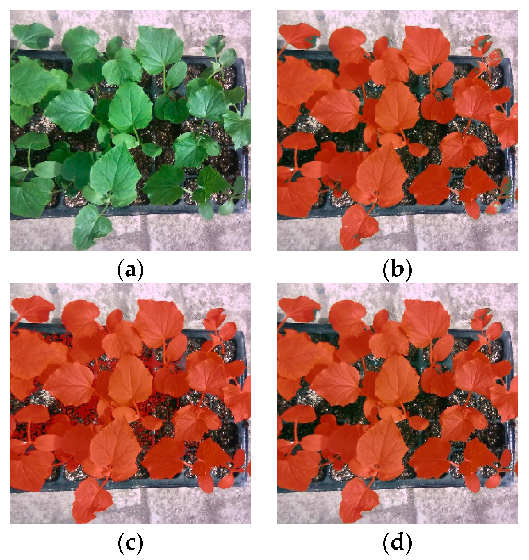 Sustainability 15 03089 g011 550