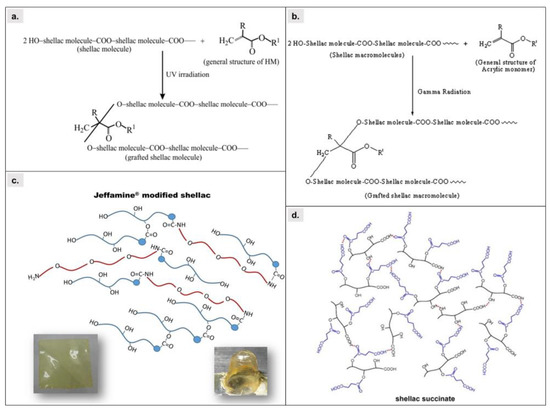 Shellac: From Isolation to Modification and Its Untapped Potential in ...