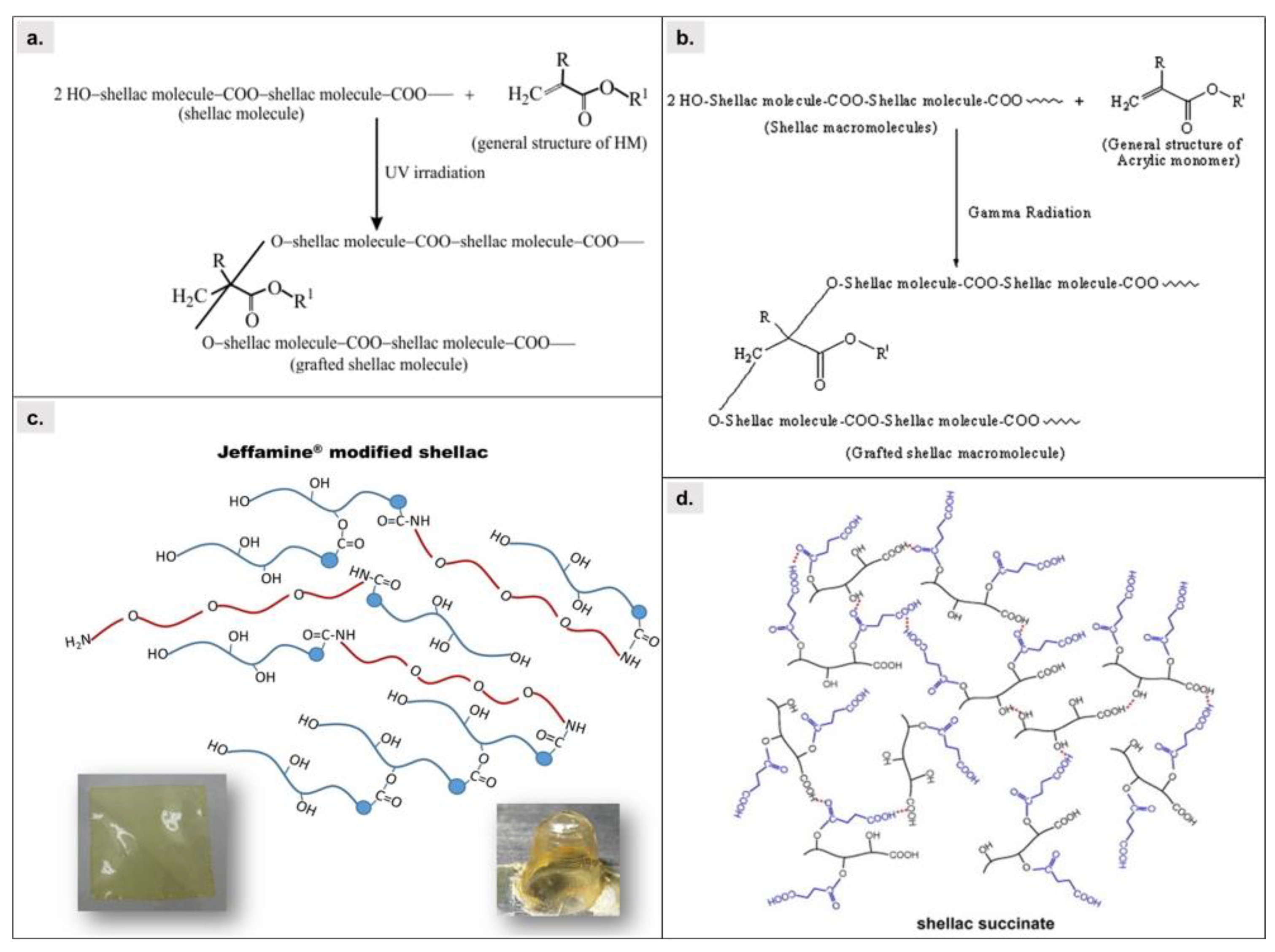 Sustainability Free FullText Shellac From Isolation to Modification and Its Untapped