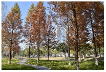 Sustainability 15 03119 i012