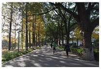 Sustainability 15 03119 i017