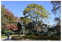 Sustainability 15 03119 i022