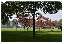 Sustainability 15 03119 i028