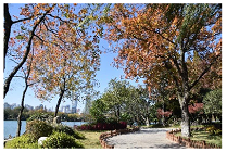 Sustainability 15 03119 i033