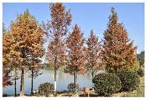 Sustainability 15 03119 i041