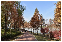 Sustainability 15 03119 i046