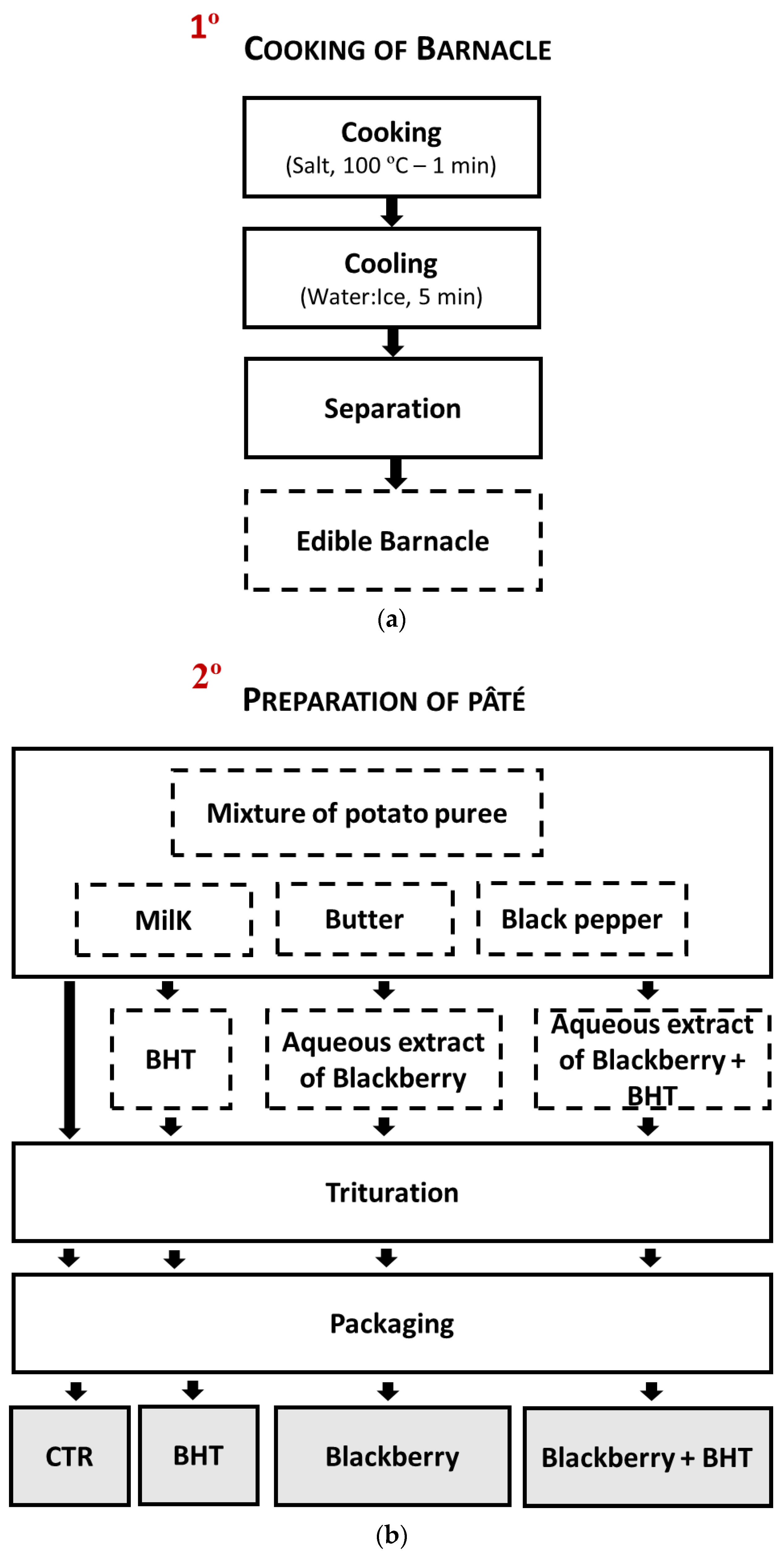 Sustainability Free FullText Adding Value to Stalked Barnacles