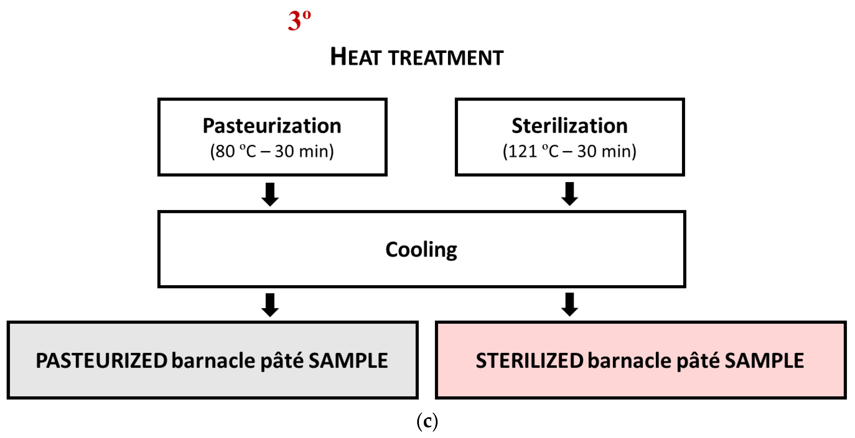 Sustainability 15 03149 g001b 550