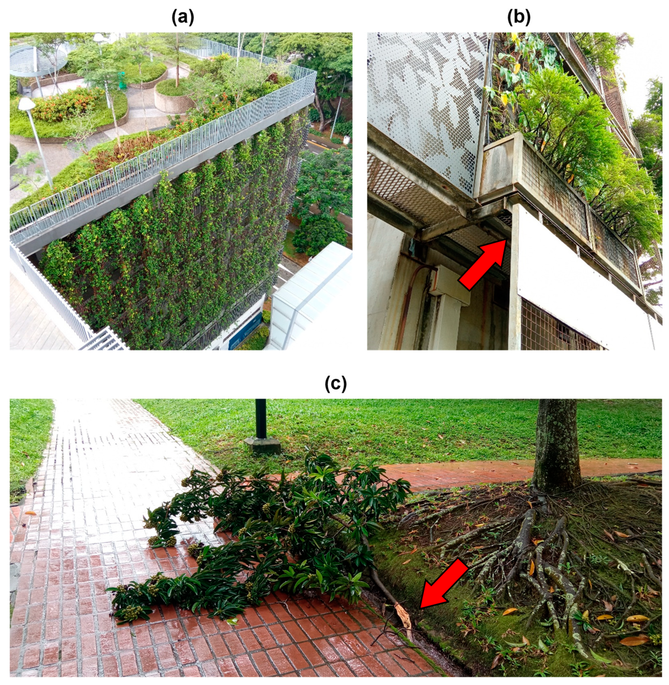 Sustainability 15 03156 g005 Sustainability 15 03156 g005