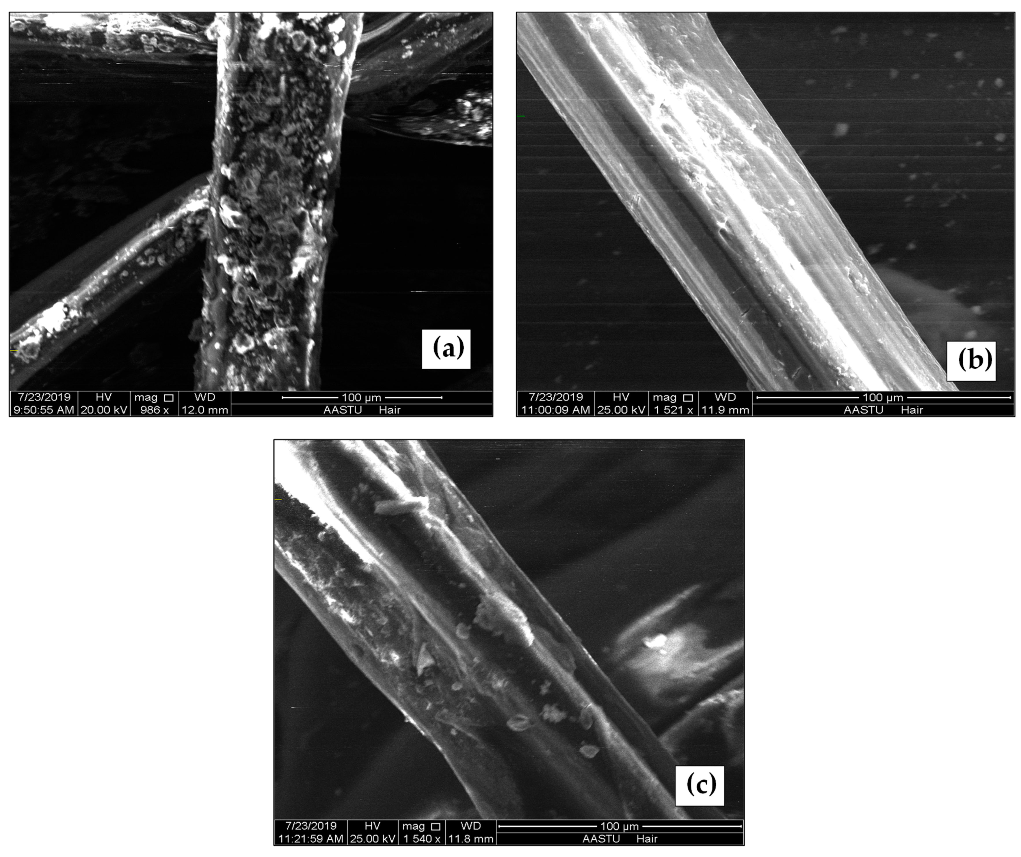 Sustainability 15 03189 g007